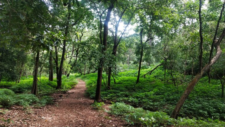5 Overrated Spots in Goa (And the Actual Places You Should Go Instead)